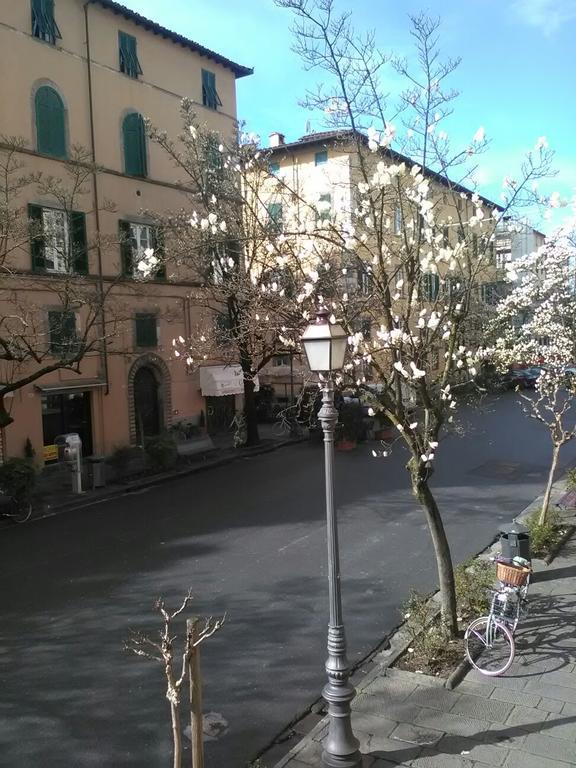 Suite Sofia Lucca Bagian luar foto