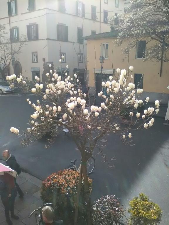 Suite Sofia Lucca Bagian luar foto