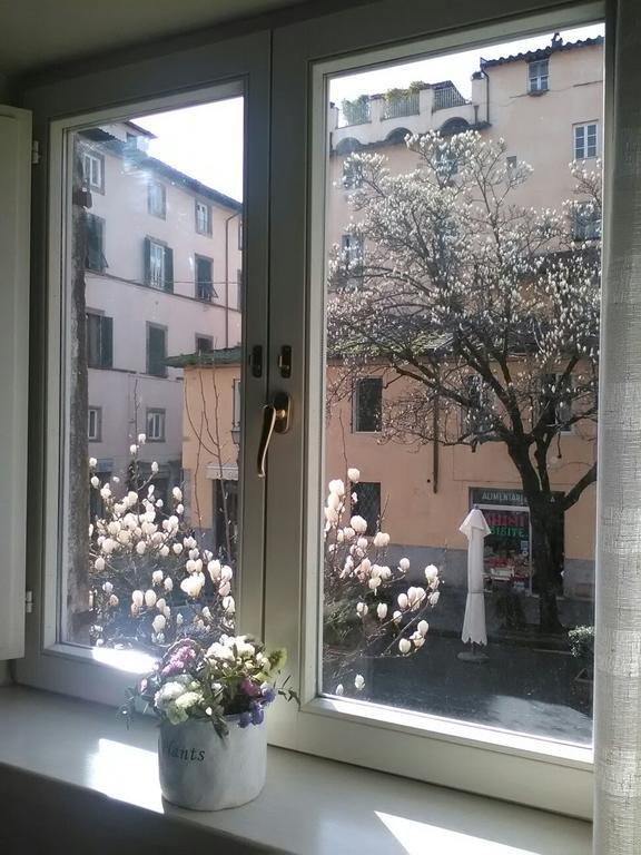 Suite Sofia Lucca Bagian luar foto